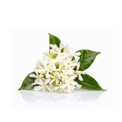 Absoluto Neroli / Azahar 5ml