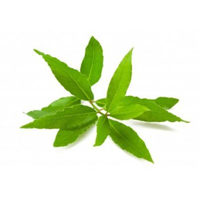 Aceite esencial de Laurel BiO 5ml