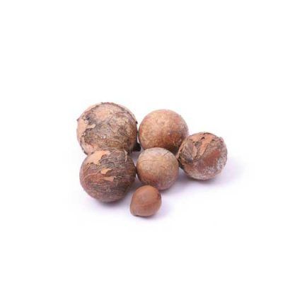 aceite-vegetal-semillas-de-tamanu